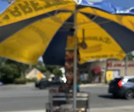 Gotham Hot Dogs