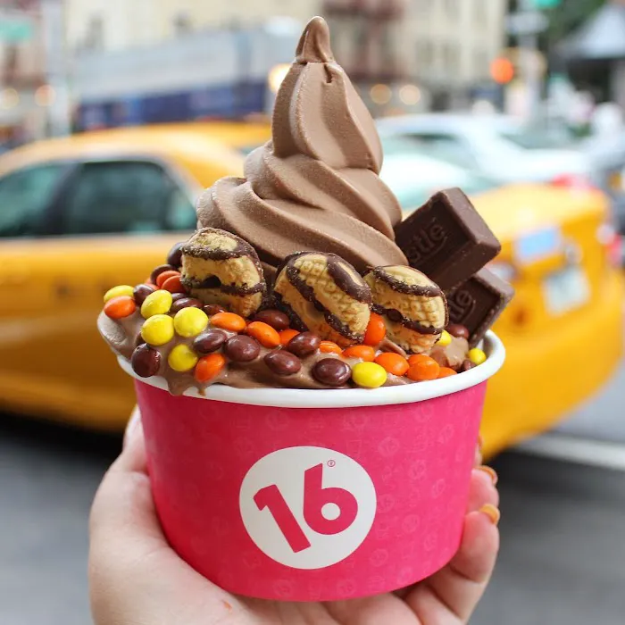 16 Handles Picture 4