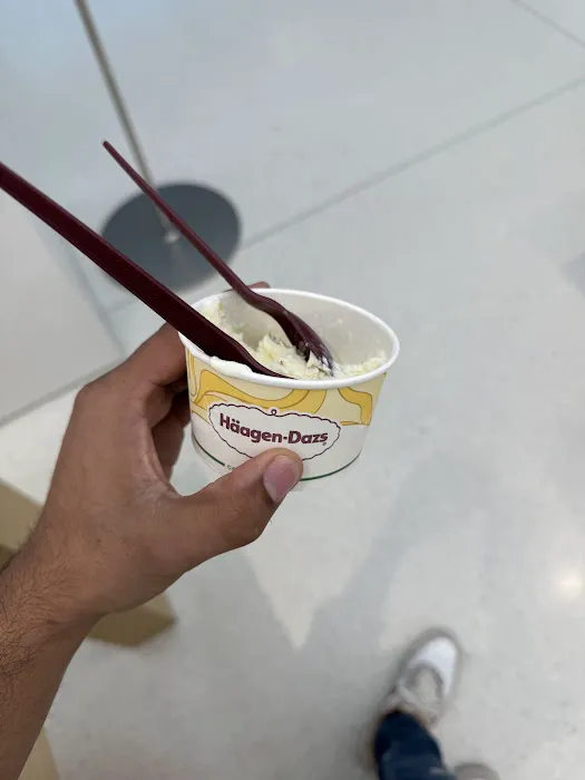 Häagen-Dazs Picture 5