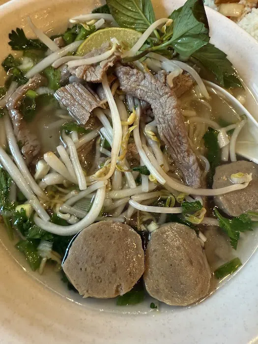 Noodle Plus Picture 10