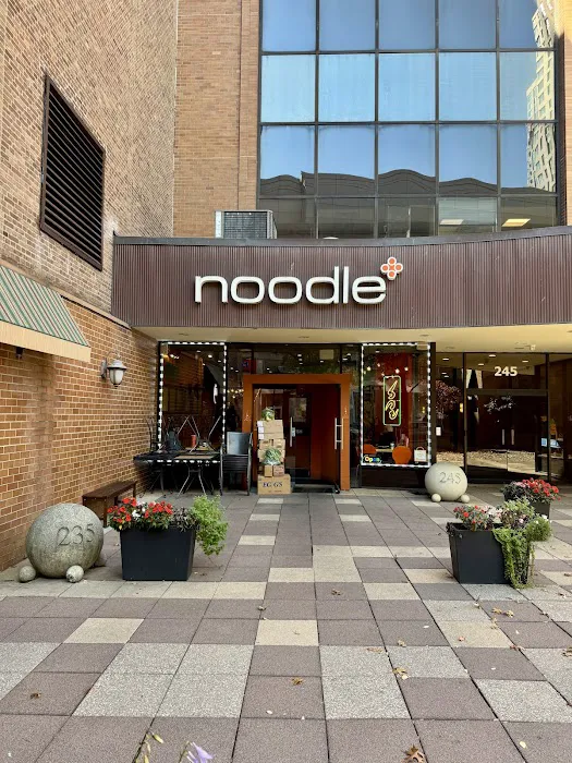 Noodle Plus Picture 8