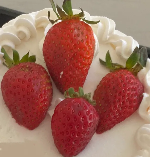 Dessert Oasis Picture 5