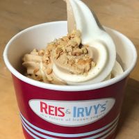 Reis and Irvy’s of NY/NJ & James Gandolfini Service Area Montvale ico