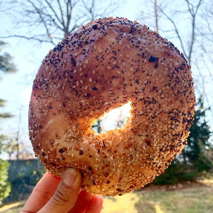 Bagels by Sofia Picture 9