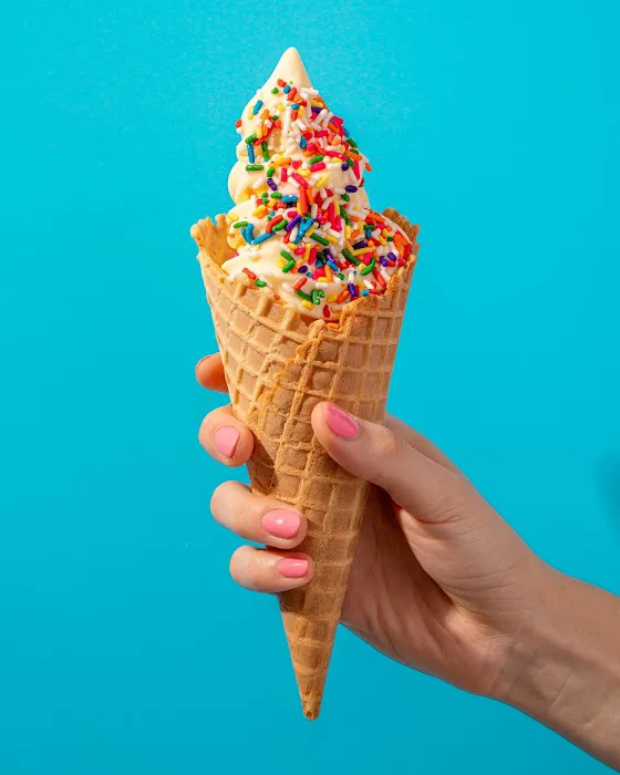 16 Handles Picture 2