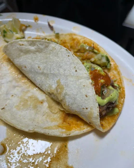 Taqueria La Picardia Picture 8