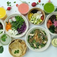 Green Eats ico