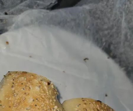Gino's Bagel Inc