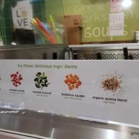 Saladworks ico