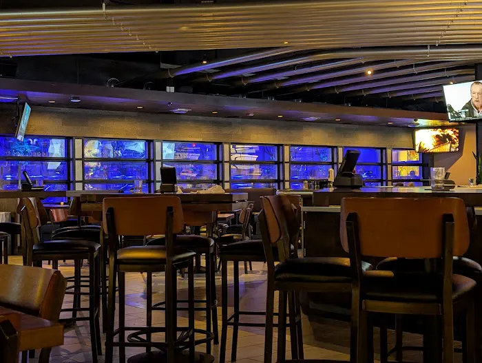 Yard House Picture 1