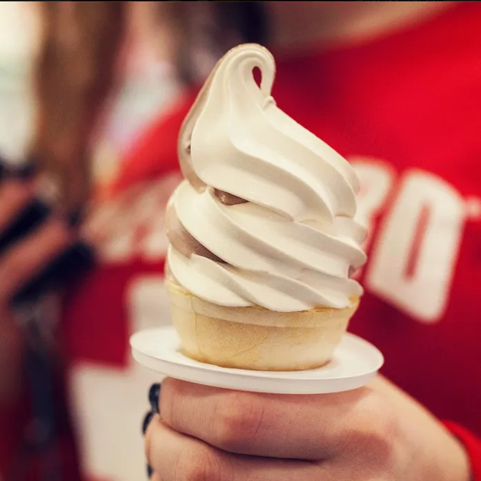 Carvel Ice Cream Picture 10