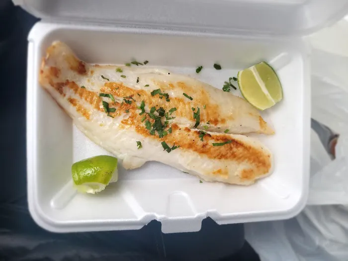Del Mar Fish Picture 5