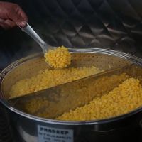 The Corn Guys ico