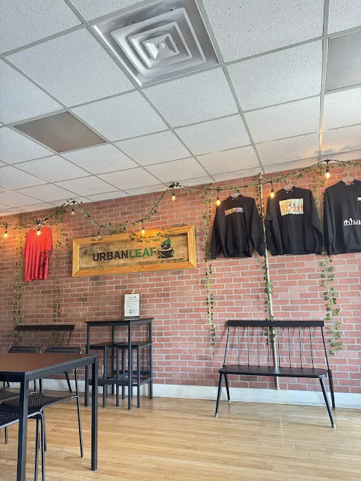Urban Leaf Cafe Picture 1