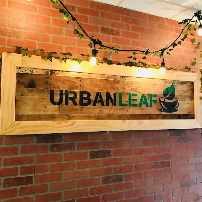Urban Leaf Cafe Picture 9