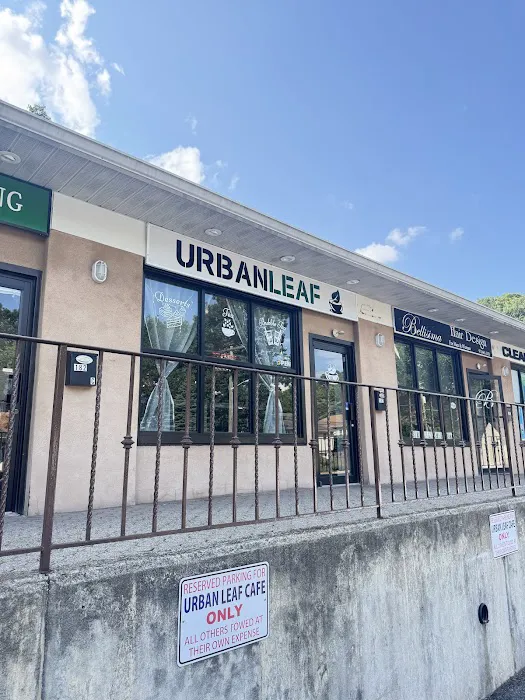 Urban Leaf Cafe Picture 4