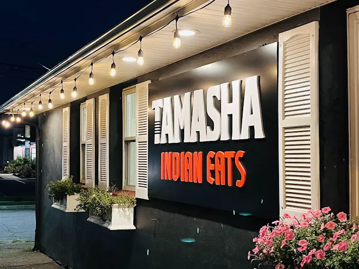 TAMASHA Indian Eats Picture 6