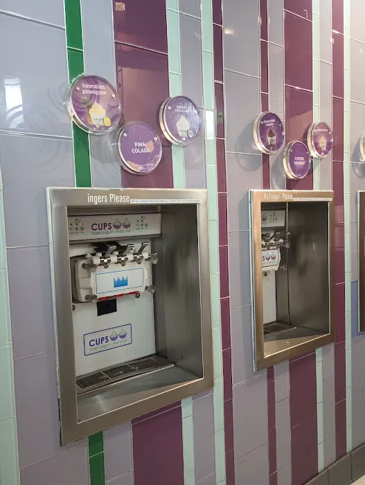 CUPS Frozen Yogurt Picture 10