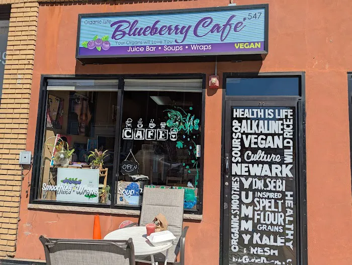 Blueberry Cafe Juice Bar And Vegan Grille Picture 4