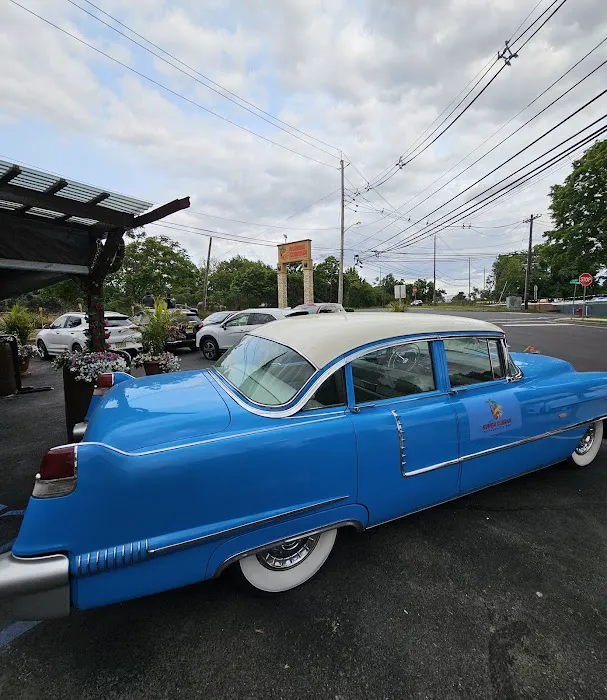 Rumba Cubana Picture 5