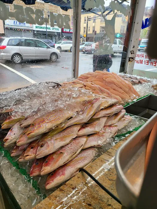 Fancy Fish Restaurant Picture 9