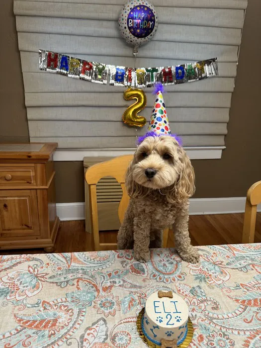 Brody's Barkery Picture 8