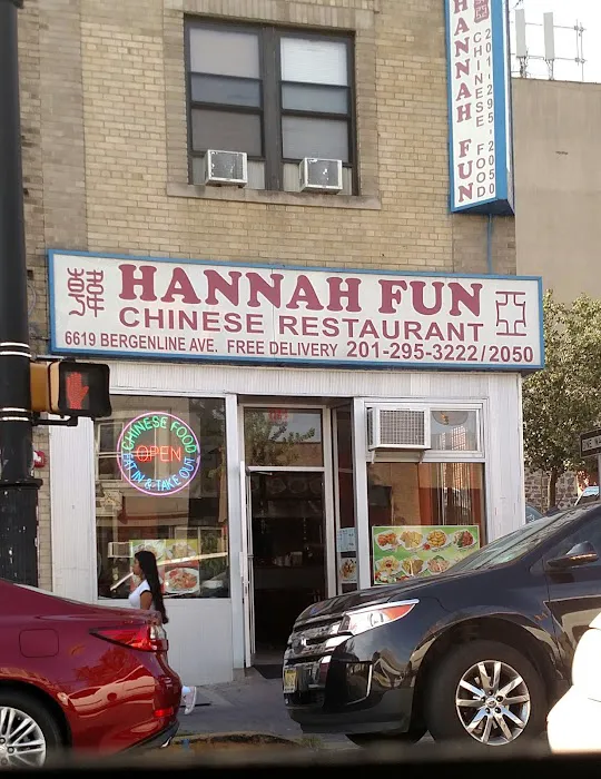 Hannah Fun Picture 6