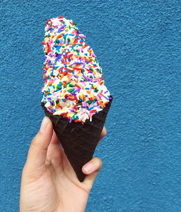 Cones Artisanal Ice Cream Picture 10