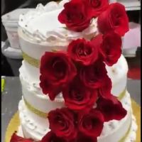 Cecilia Bakery LLC ico