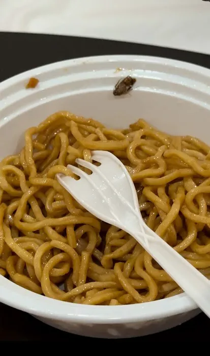 New Yummy Chinese Restaurant Picture 3