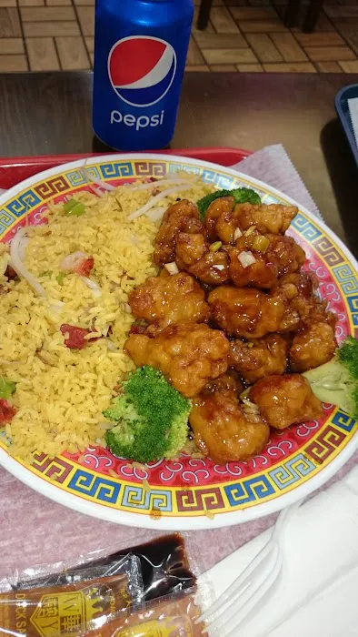 New Yummy Chinese Restaurant Picture 2