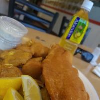 Harbor Fish Market ico