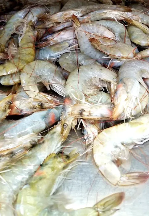 Harbor Fish Market Picture 8