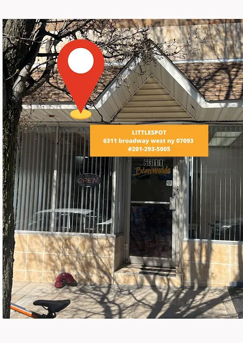 Little Spot Picture 4