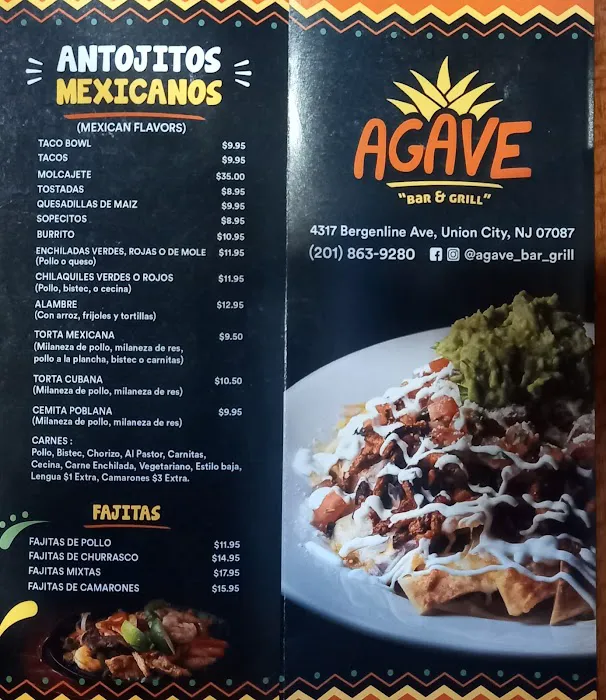 Agave Picture 8
