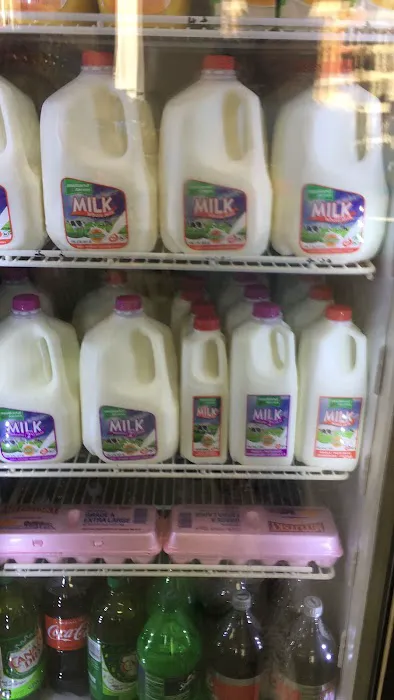 Fiji Deli Picture 10