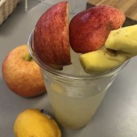 The Health Bar ico