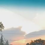 Golden House Restaurant