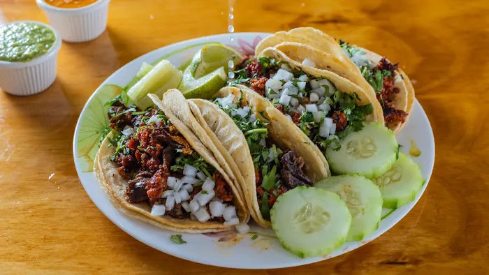 Tacolgando Taquerias LLC Picture 8