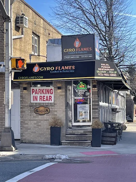Gyro Flames - Halal Fusion Restaurant Picture 4
