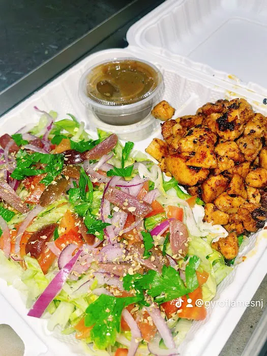 Gyro Flames - Halal Fusion Restaurant Picture 3