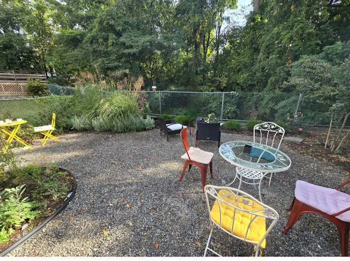 Colias Cafe Picture 3