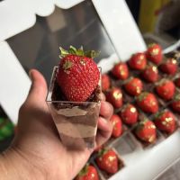 Treatsbytelma ico