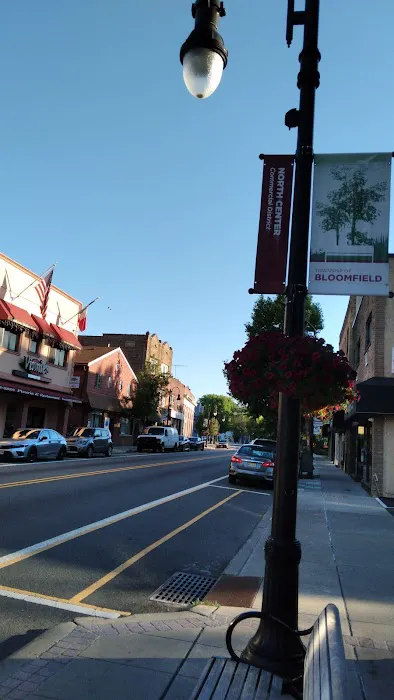 Vinnie's Pizzeria & Restaurant Picture 7