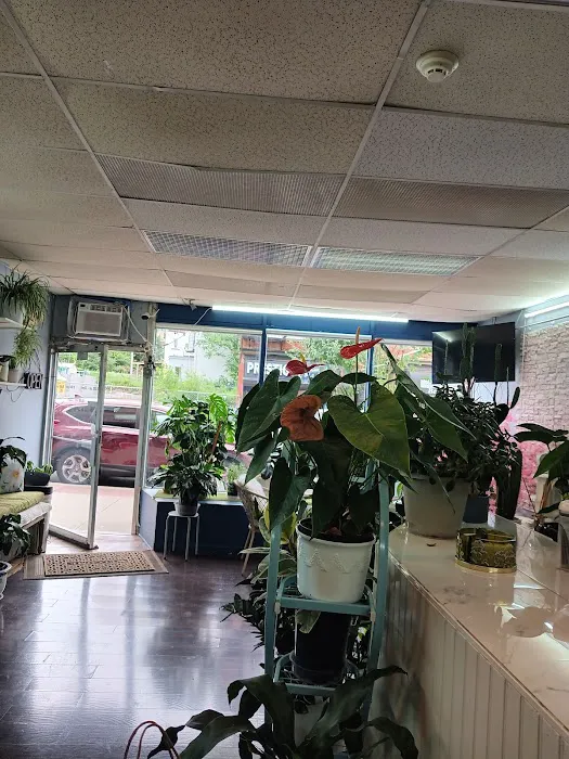 The Nutrition House Picture 7