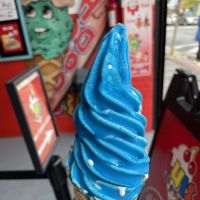 Luis Ice Cream LLC ico