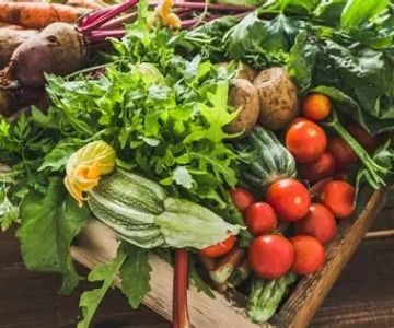 Discovering American Restaurants That Incorporate Seasonal Local Ingredients