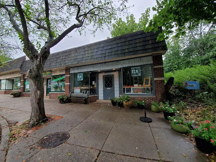 The Tea Store Picture 3