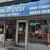 Terranova Deli ico