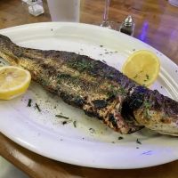 Greek Taverna - Montclair ico